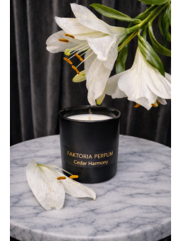 Cedar Harmony - sojowa świeca zapachowa